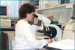 clinical-medical-laboratory2.jpg