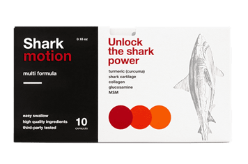 Shark Motion - 2021 - gdzie kupić skład, ceny